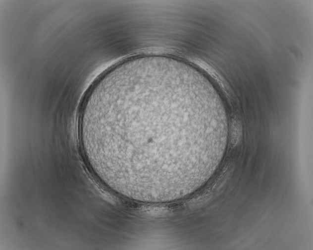 X0000112430886200909251534