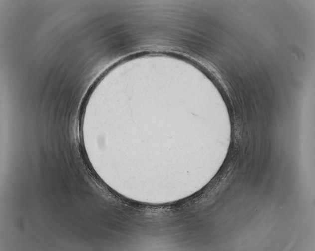 X0000112430887200909251534