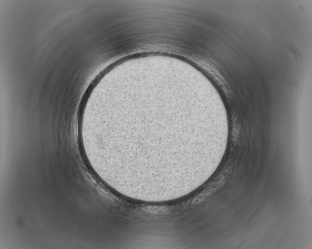 X0000112430888200909251534