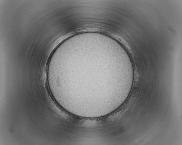 X0000112430890200909251534