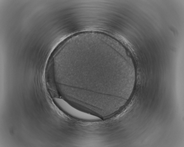 X0000112430892200909251534