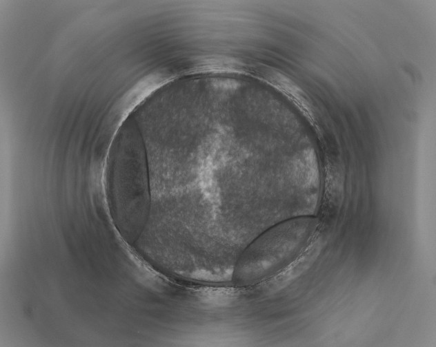 X0000112430893200909251534