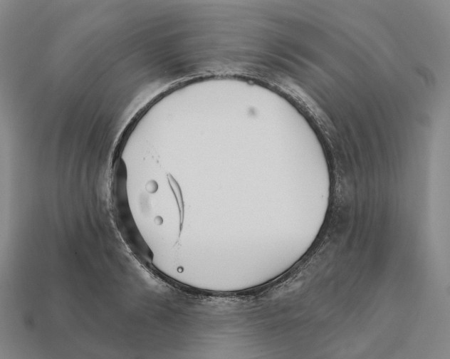 X0000112430894200909251534