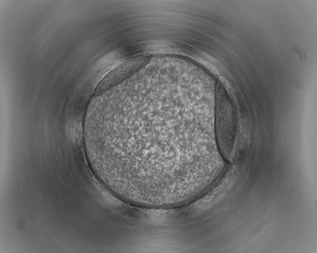 X0000112430897200909251534