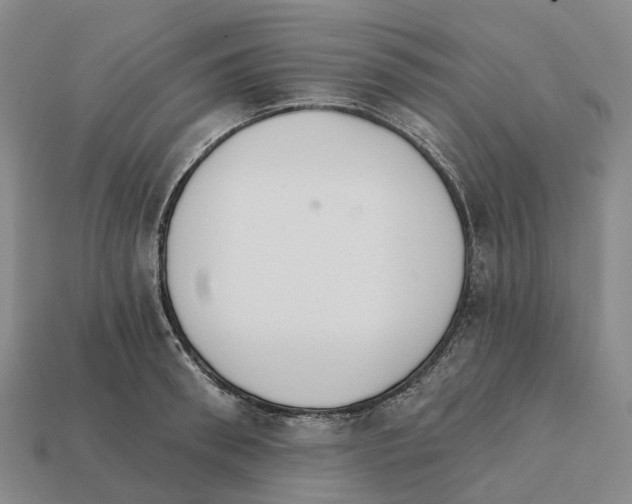 X0000112430898200909251534