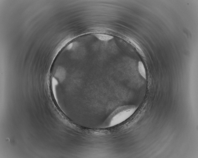 X0000112430899200909251534