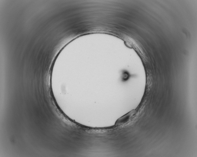 X0000112430900200909251534
