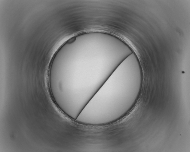 X0000112430901200909251534