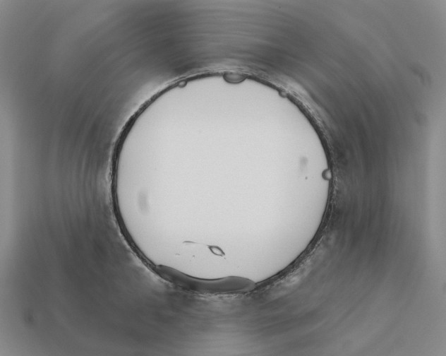 X0000112430902200909251534