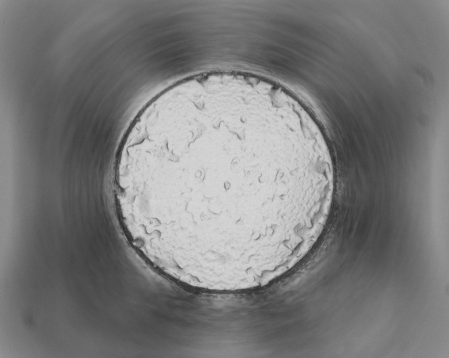 X0000112430903200909251534