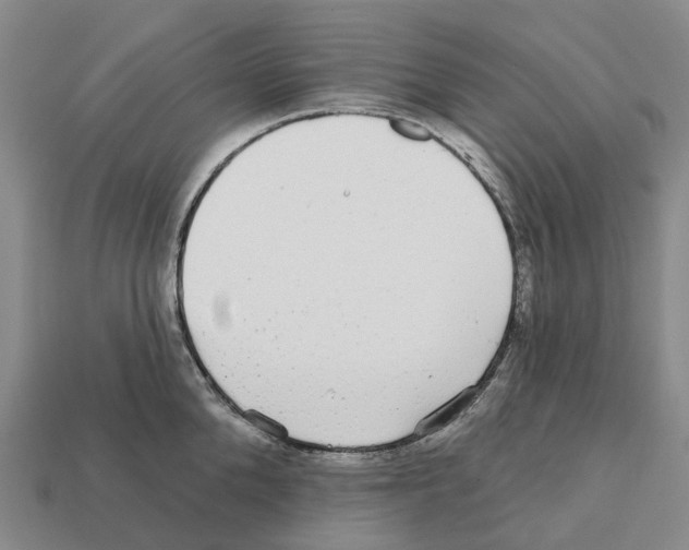 X0000112430904200909251534