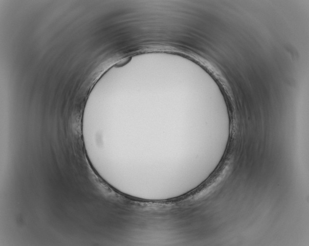 X0000112430905200909251534