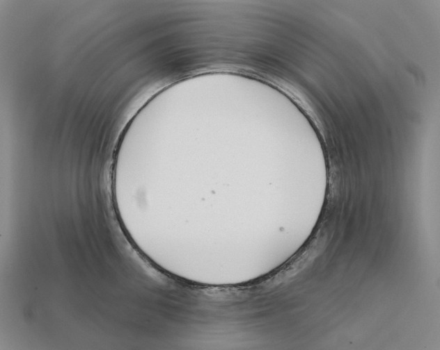 X0000112430906200909251534