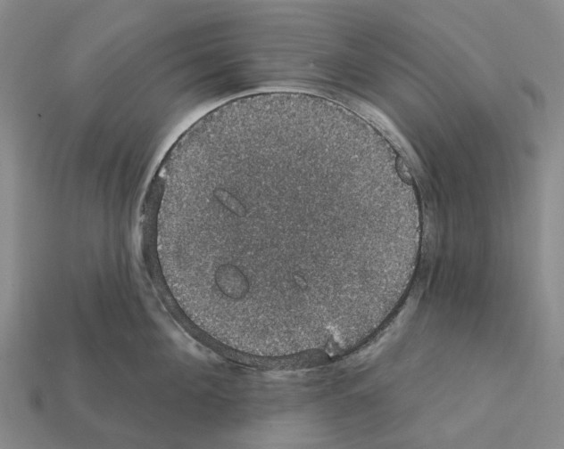 X0000112430908200909251534