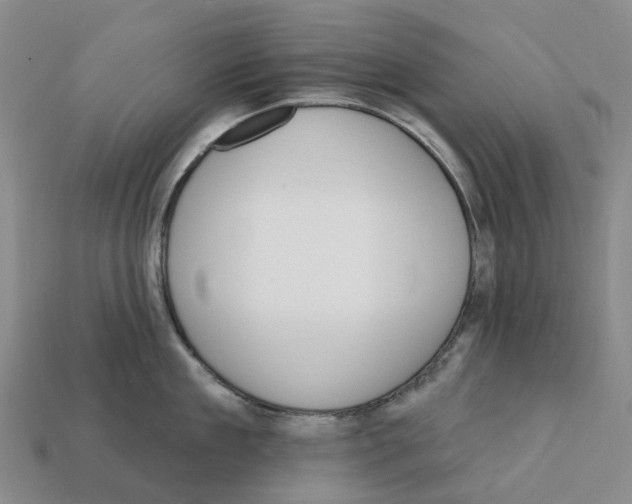 X0000112430909200909251534