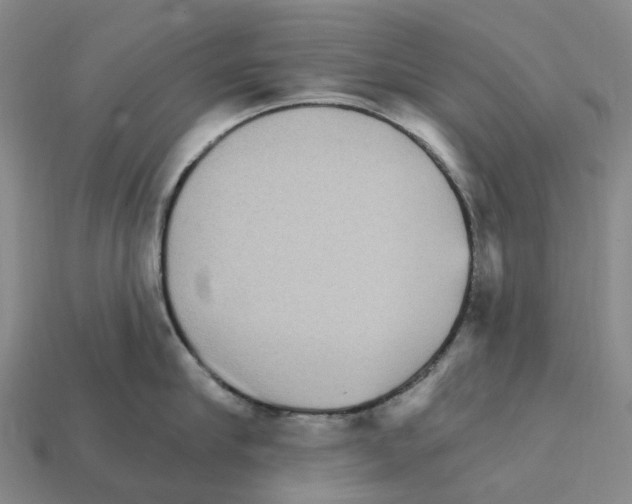 X0000112430910200909251534