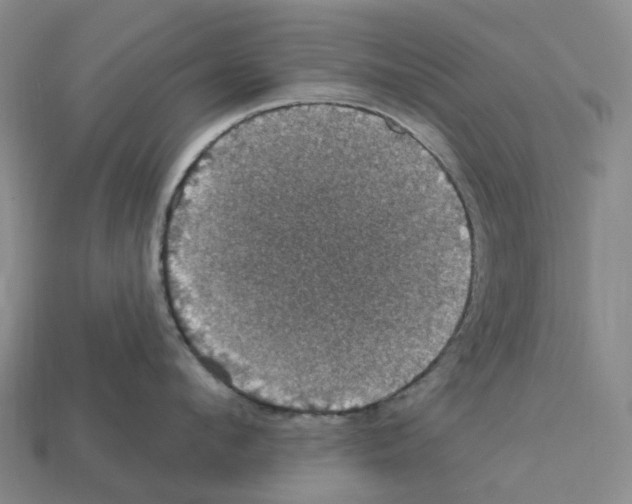 X0000112430912200909251534