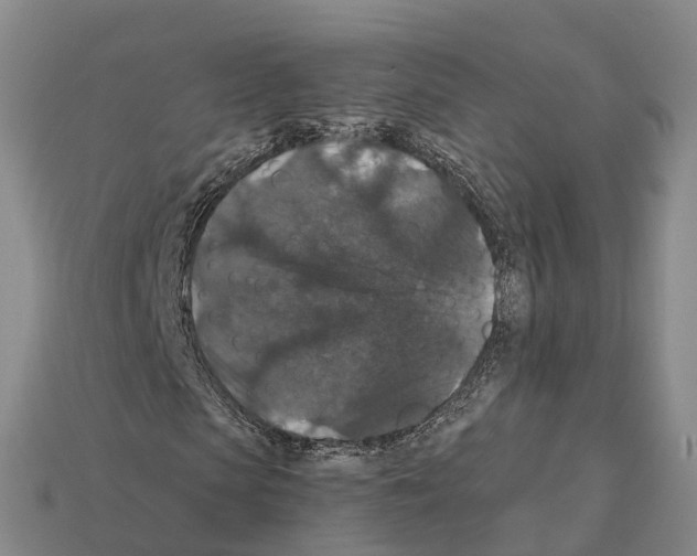 X0000112430913200909251533