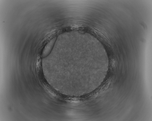 X0000112430914200909251533