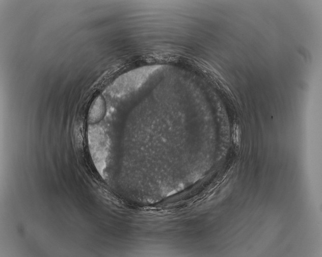 X0000112430915200909251533
