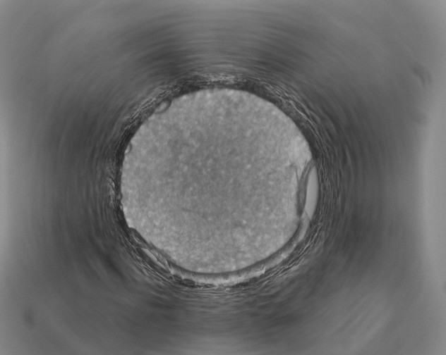 X0000112430916200909251533