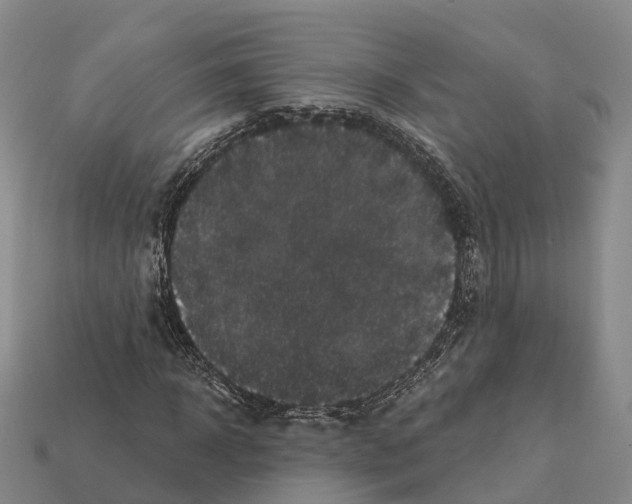 X0000112430918200909251533
