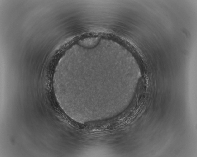 X0000112430919200909251533