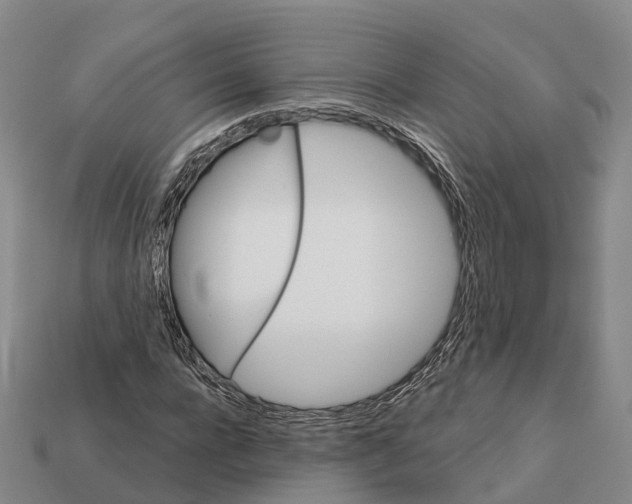 X0000112430920200909251533