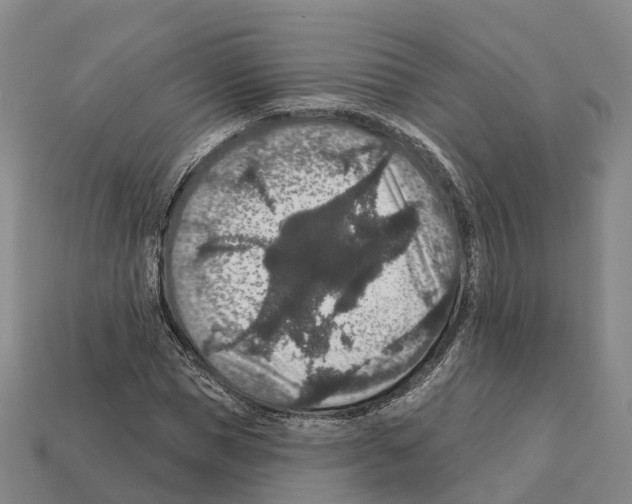 X0000112430921200909251533