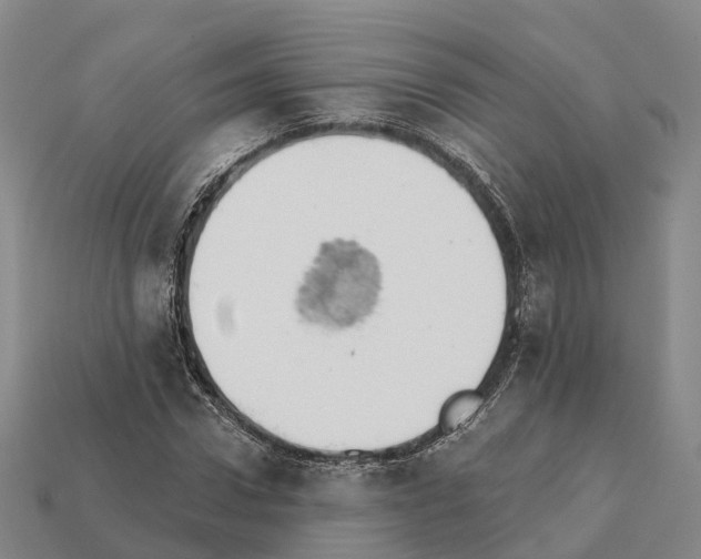 X0000112430922200909251533