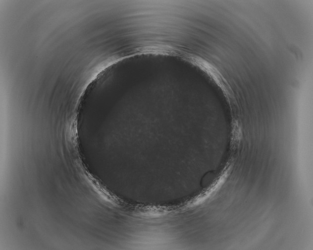 X0000112430923200909251533