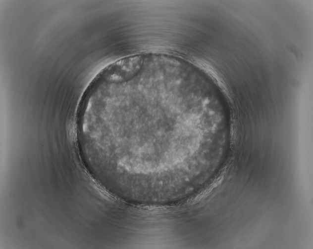X0000112430924200909251533