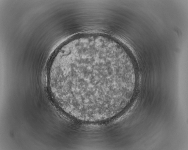 X0000112430925200909251533