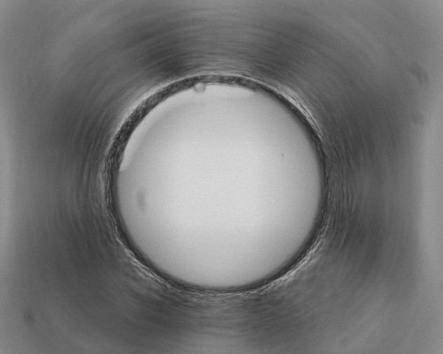 X0000112430926200909251533