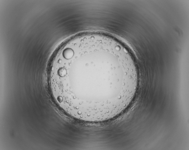 X0000112430927200909251533