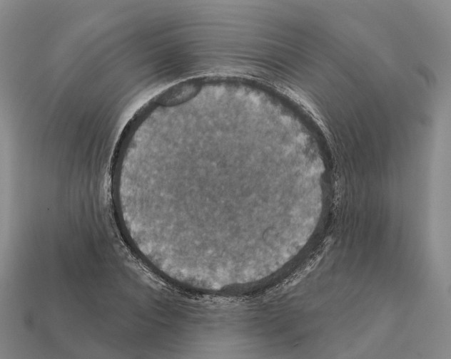 X0000112430928200909251533