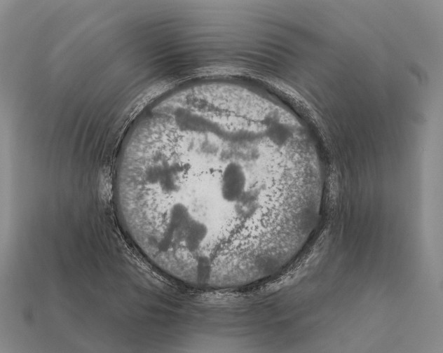 X0000112430929200909251533
