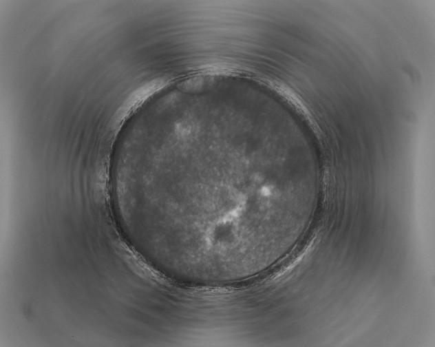 X0000112430930200909251533