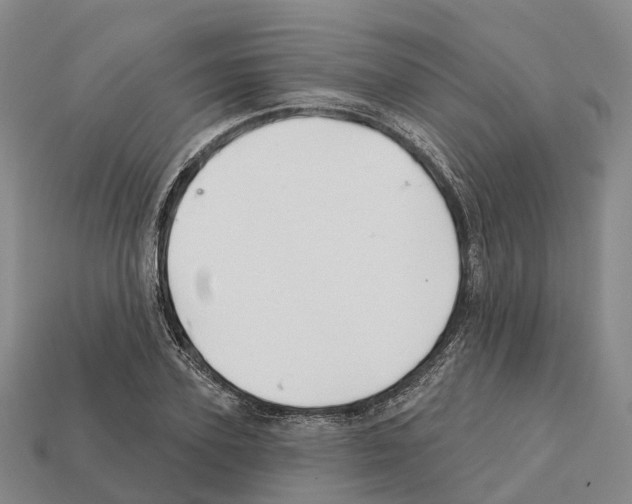 X0000112430931200909251533
