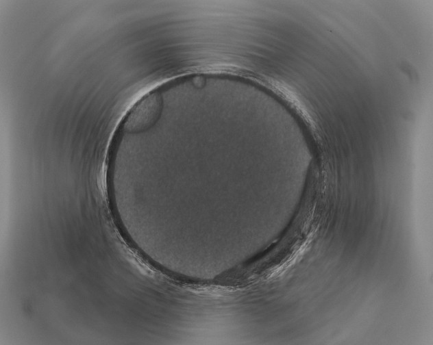 X0000112430932200909251533