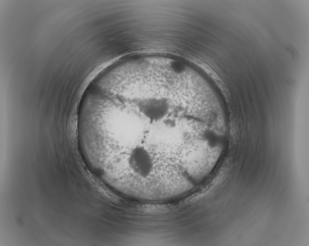 X0000112430933200909251533