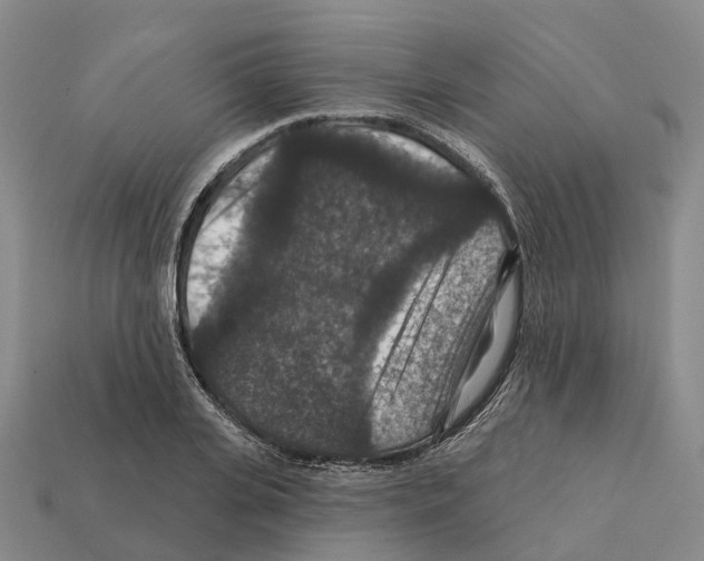 X0000112430935200909251533