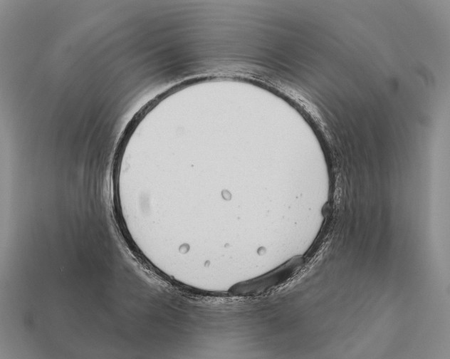 X0000112430936200909251533
