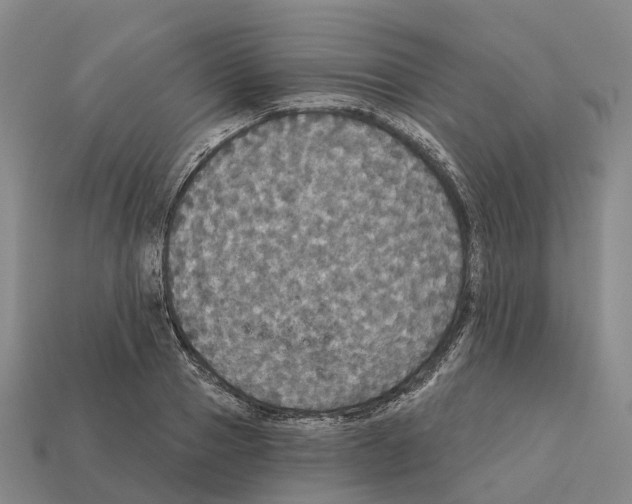 X0000112430937200909251533