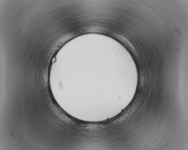 X0000112430938200909251533