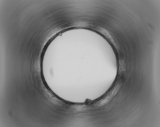 X0000112430939200909251533