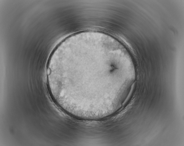 X0000112430940200909251533