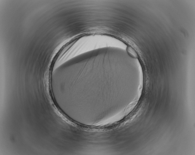 X0000112430941200909251533