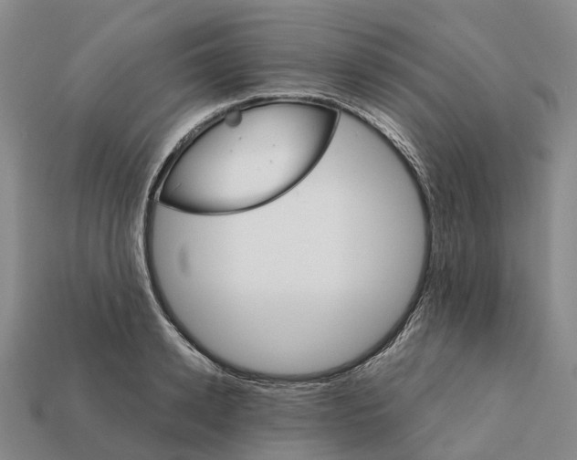 X0000112430942200909251533