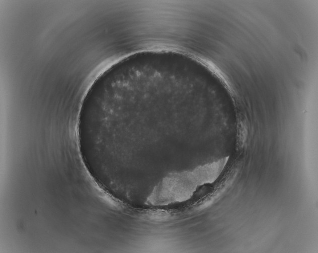 X0000112430943200909251533